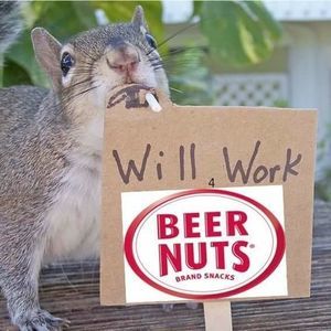 Meet your Posher, Aaron